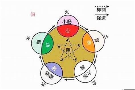 怎么算自己的五行|生辰八字查詢，生辰八字五行查詢，五行屬性查詢